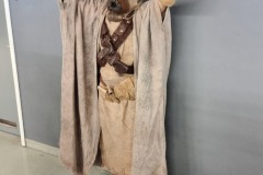 Star Wars in Concert