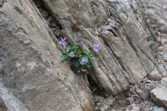 Wanderung