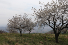 Wanderung