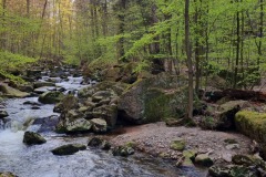 Wandern im Harz