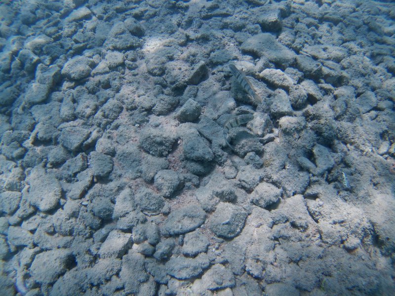 Ägypten 2022 - Hurghada