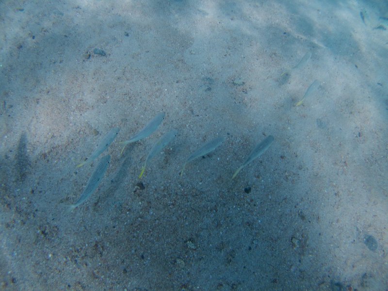 Ägypten 2022 - Hurghada