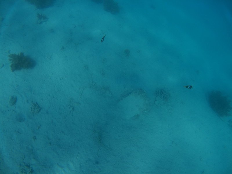 Ägypten 2022 - Hurghada