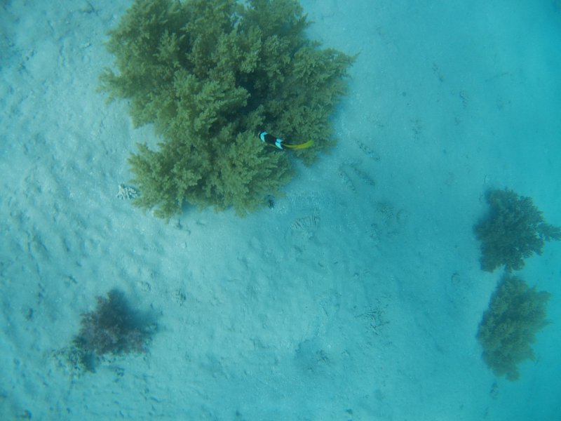 Ägypten 2022 - Hurghada