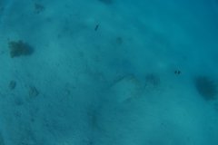 Ägypten 2022 - Hurghada