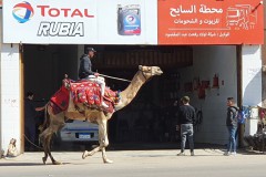 Ägypten 2022 Kairo