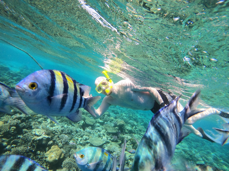 Ägypten 2022 - Rotes Meer