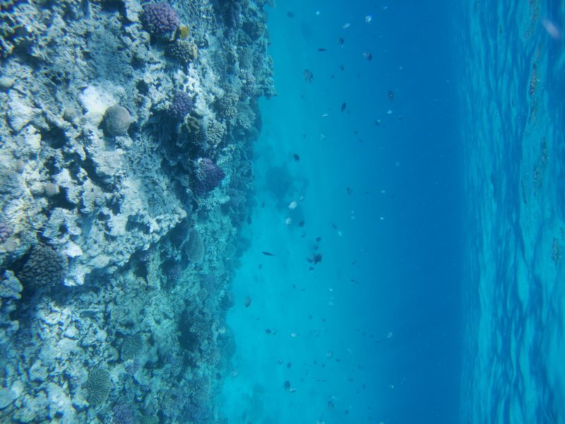 Ägypten 2022 - Rotes Meer