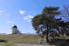 MG_2011