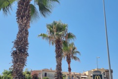Nettuno