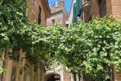 Nettuno