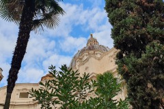 Campo Santo / St. Peter