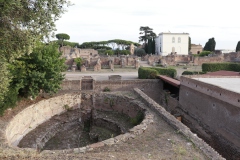 Palatin
