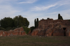 Palatin