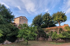Palatin