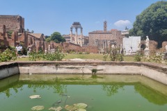 20250612_roma-antica-c-ronny-bereczki-9