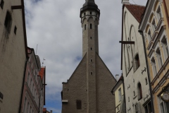 MG_1516