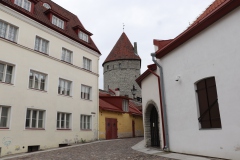 MG_1718