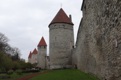 MG_1724
