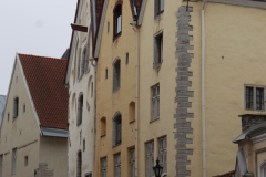 MG_1738