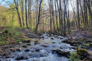 Wandern im Harz